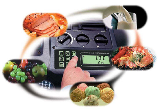 Термо Кинг модель ТS-200